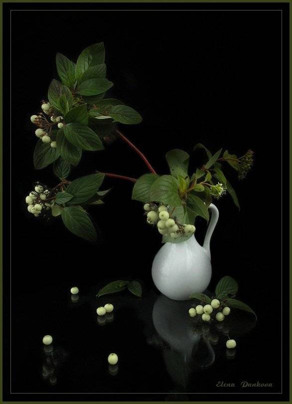 натюрморт, ягоды, кувшин, лето, Elena Pankova