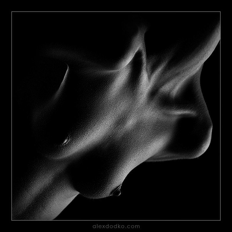 doodko, линии, ню *** фото превью