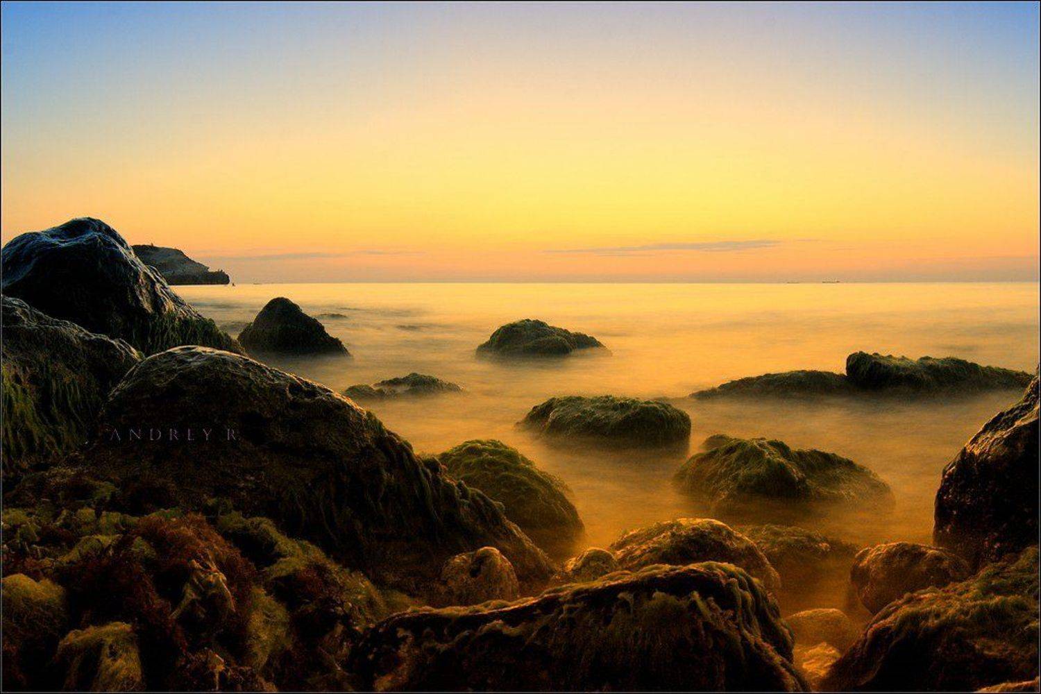 , Андрей Кузьмин