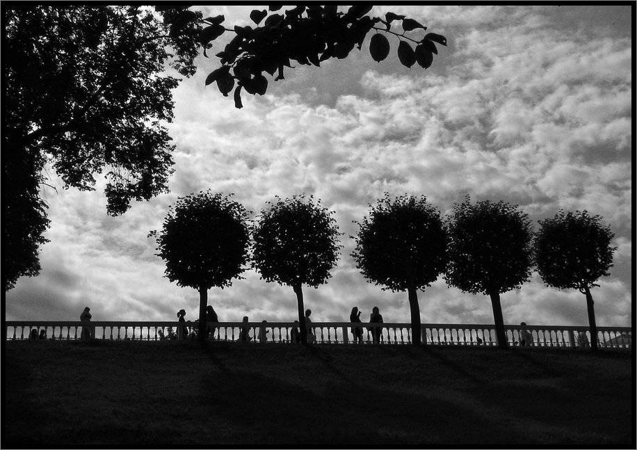 , Лунный Ежик