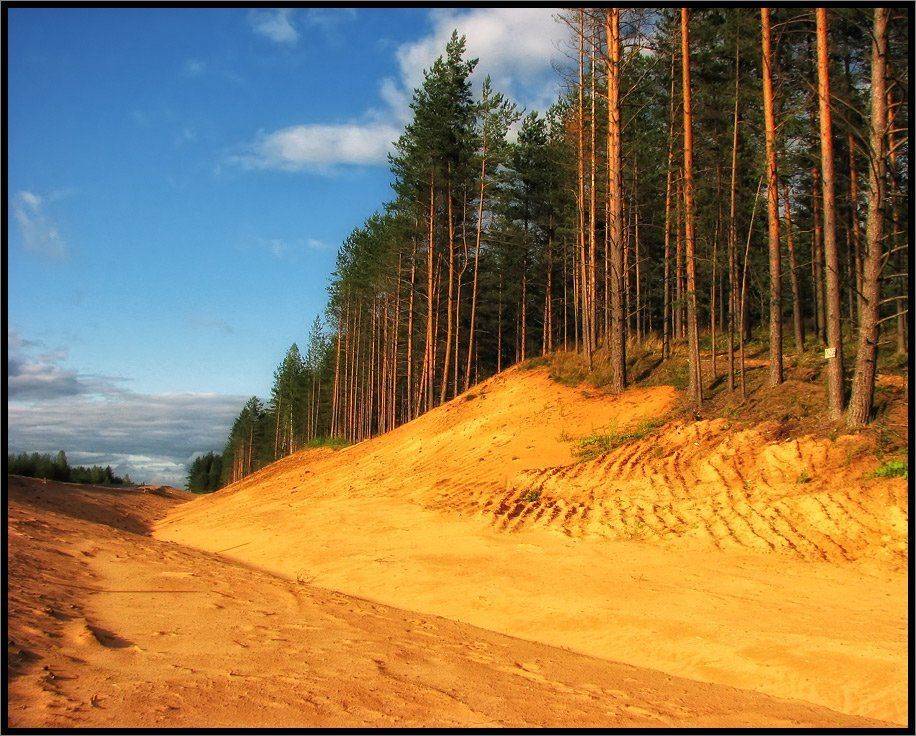 , Лунный Ежик