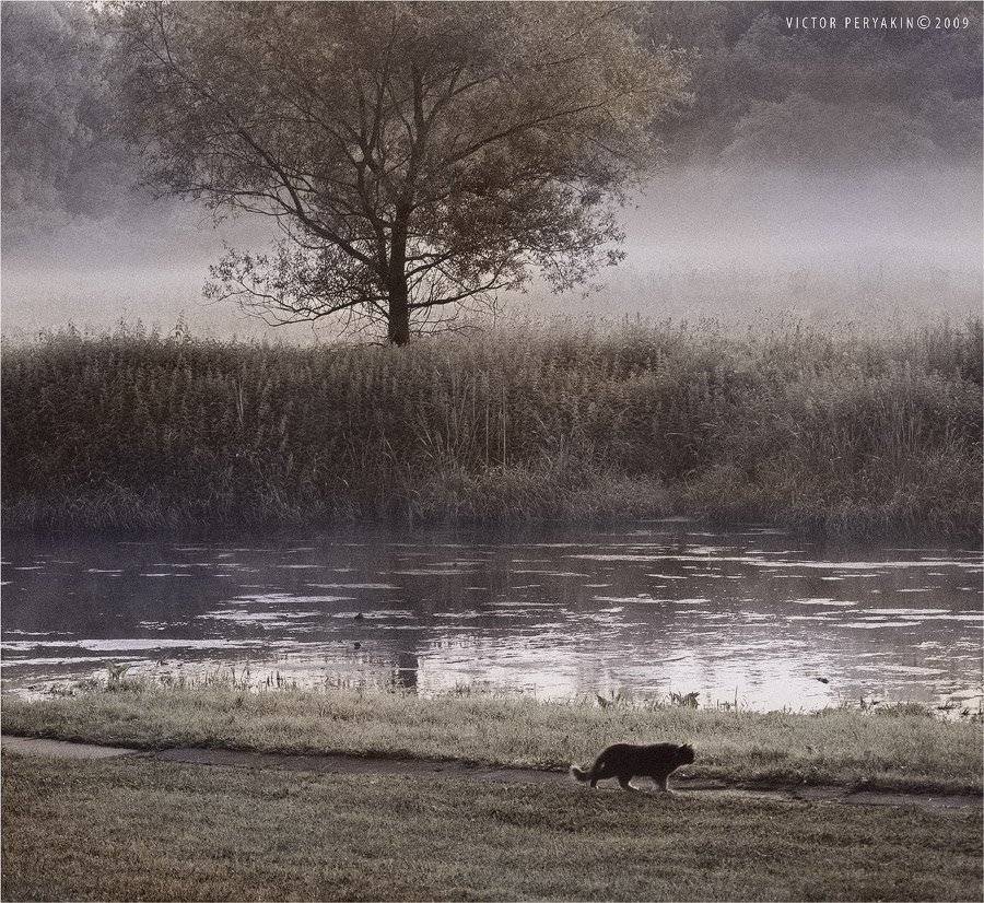 , Виктор Перякин