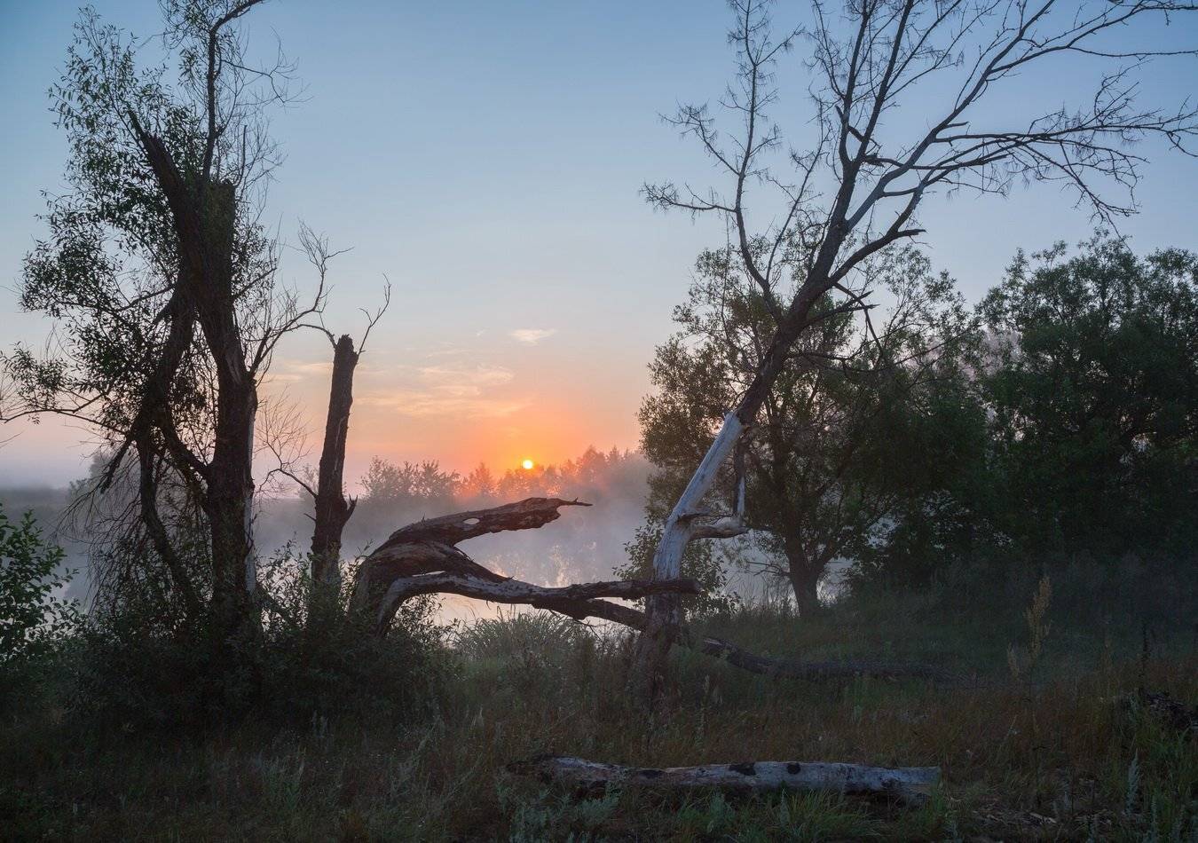 , Александр Бредихин