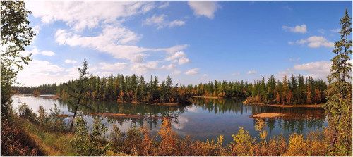 Вдоль озера гуляя.