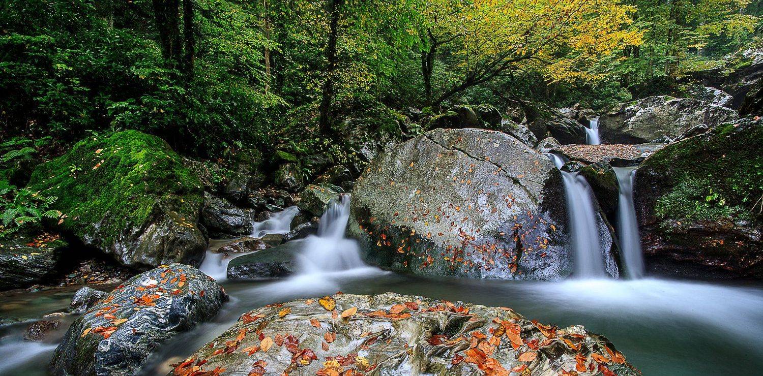 waterfall  turkey green forest leaves yellov orange canon 6D  tamron 17-35mm, Taner Ragıpoğlu