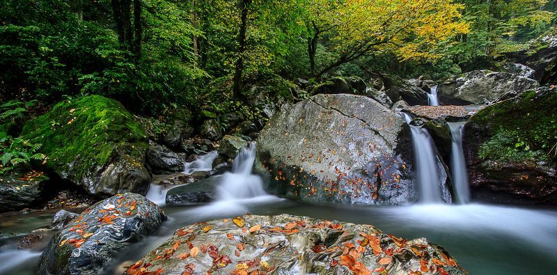 waterfall  turkey green forest leaves yellov orange canon 6D  tamron 17-35mm waterfall фото превью