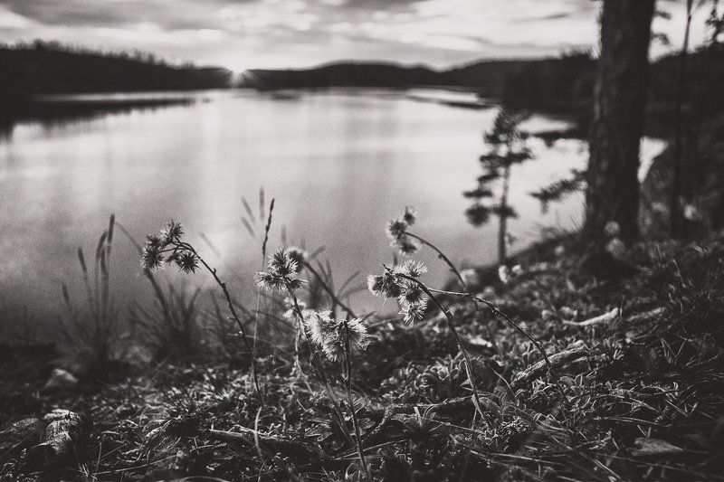 Портфолио фото превью