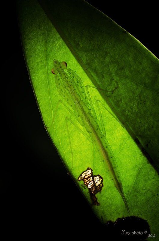 自由职业 фото превью