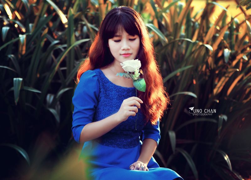 unochan, flower, blue, white, girl, beautyful, sunset Lệ Trâm фото превью