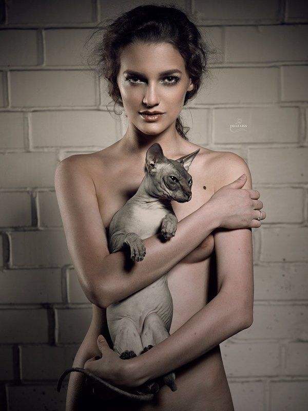 Art, Cat, girl, Nude, Sphinx CATS фото превью