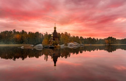 осенний рассвет в розовых тонах...