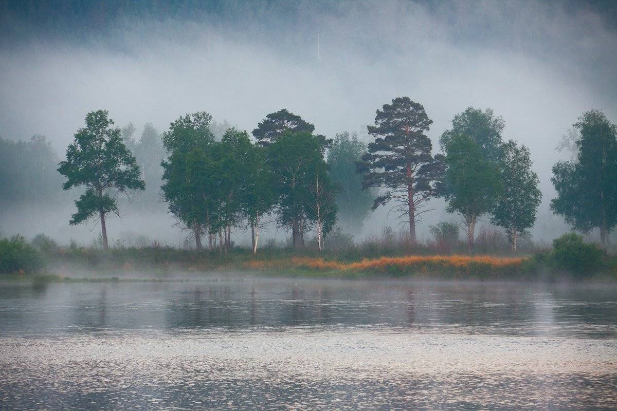 , Николай Морский