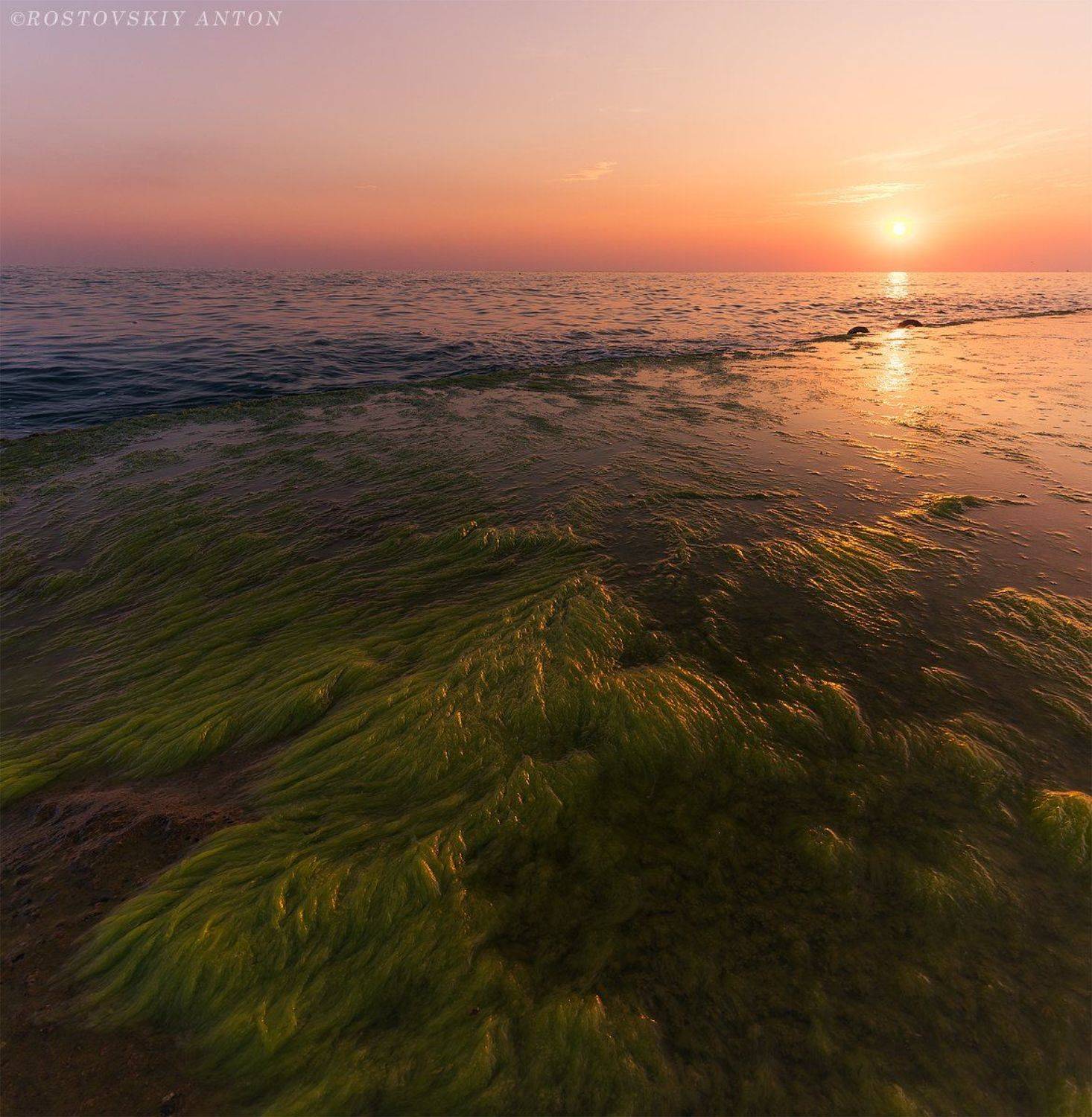 Закат, Море, Чёрное море, Сочи, пляж, водоросли, зелень, лето,, Антон Ростовский