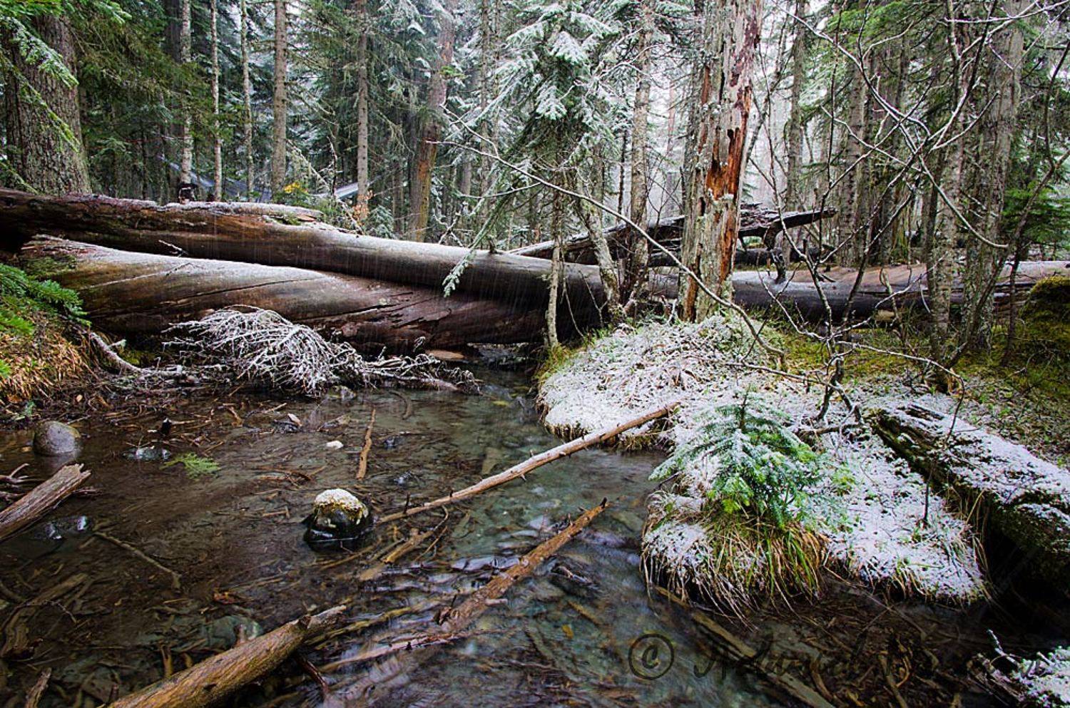 , Ловиков Михаил
