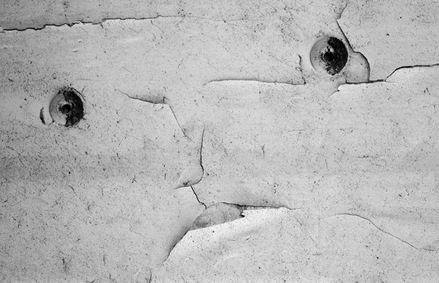 , Мира Голубь