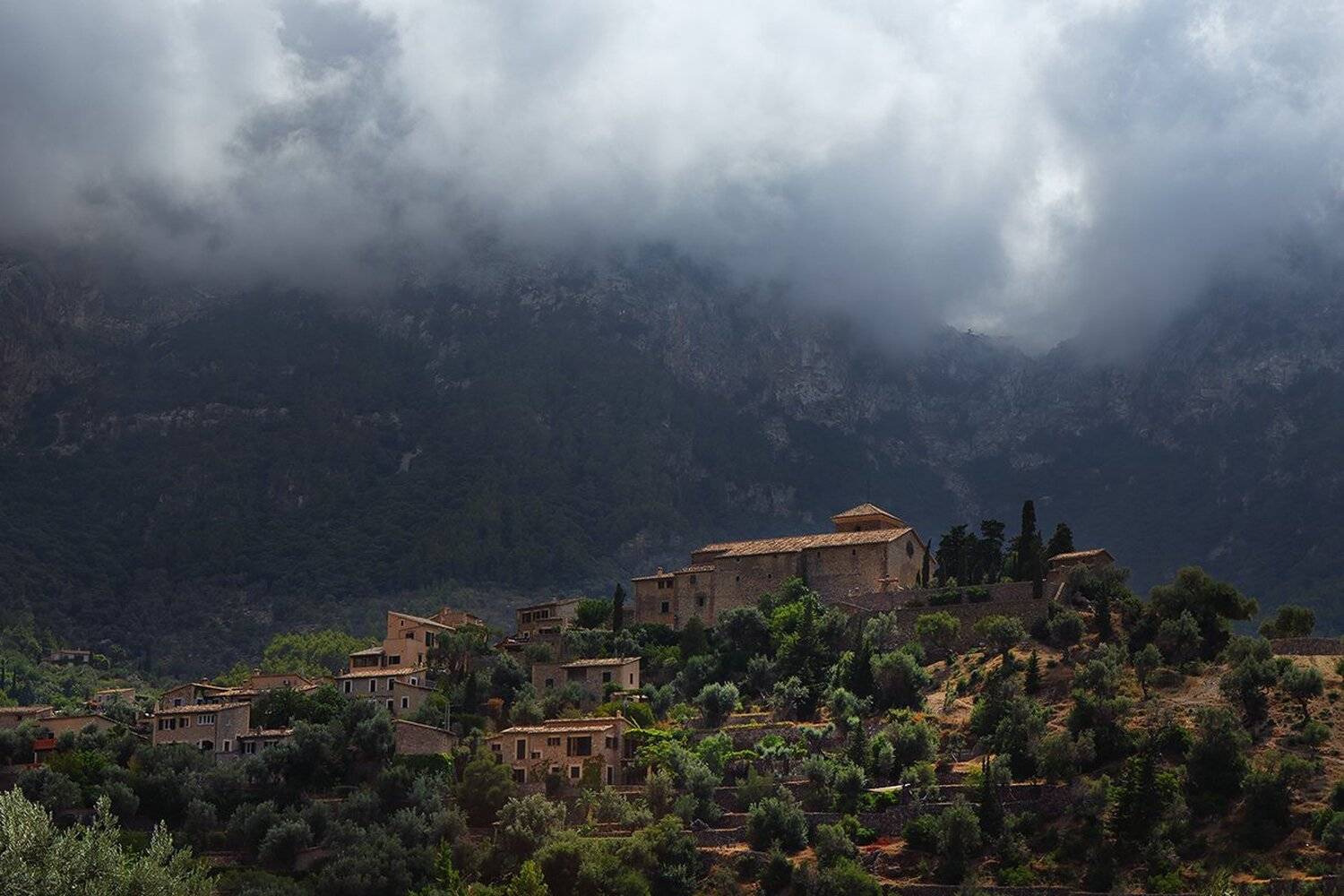 , Игорь Дубровский