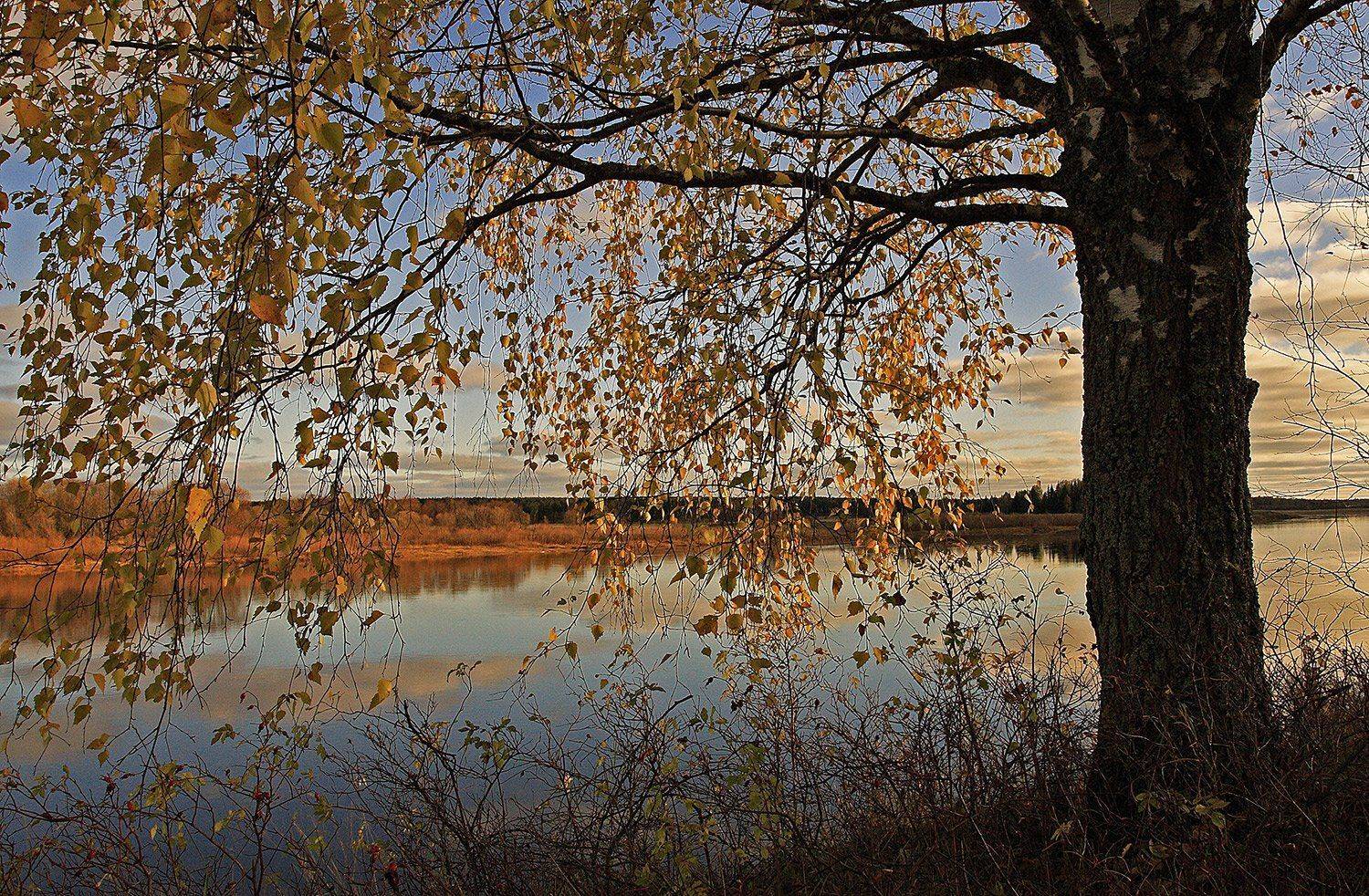 , Поташев Александр