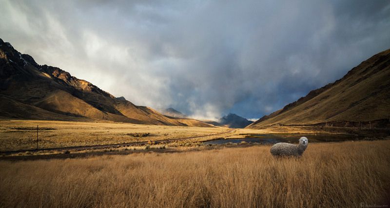 Abra La Raya фото превью