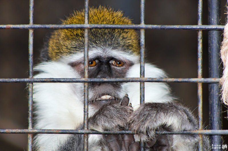 Еще 15 лет... !!!! фото превью