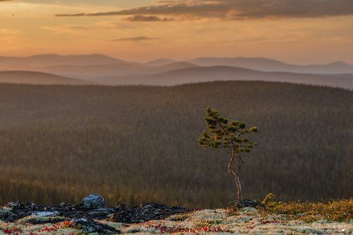 одиноко