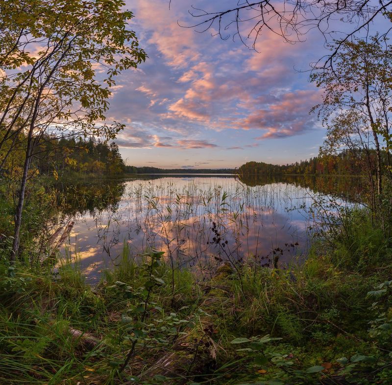 *** фото превью