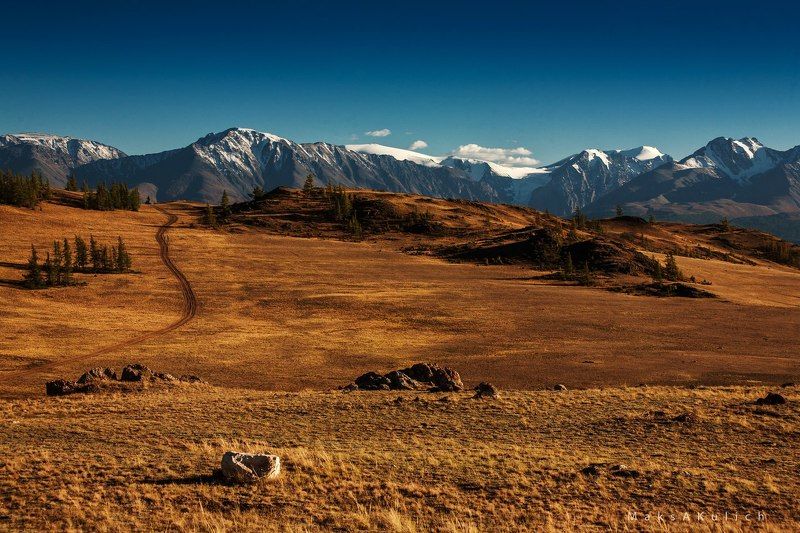 Алтай, Северо-чуйский хребет Алтай. Северо-Чуйский хребет. фото превью