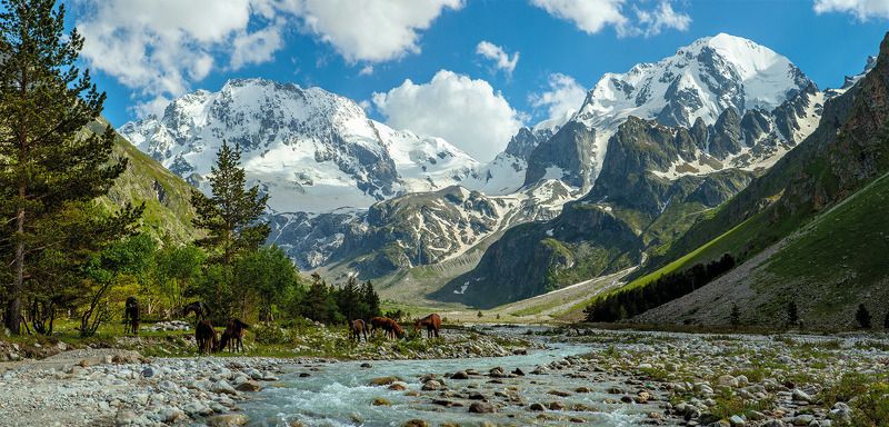 адырсу, кабардино-балкария, приэльбрусье, северный кавказ, ущелье в горах у реки фото превью