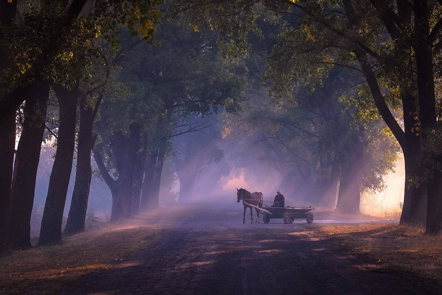 , Вячеслав Мищенко