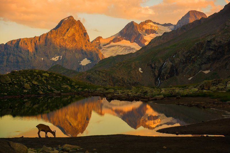 Высокогорный пейзаж фото превью