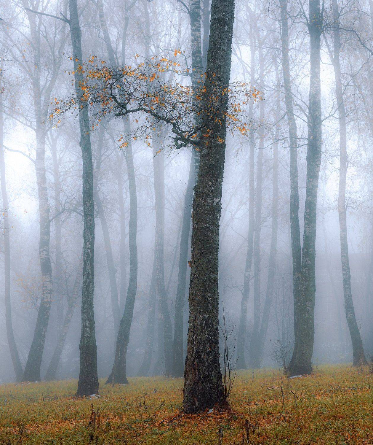 NIKON, Морозов Юрий