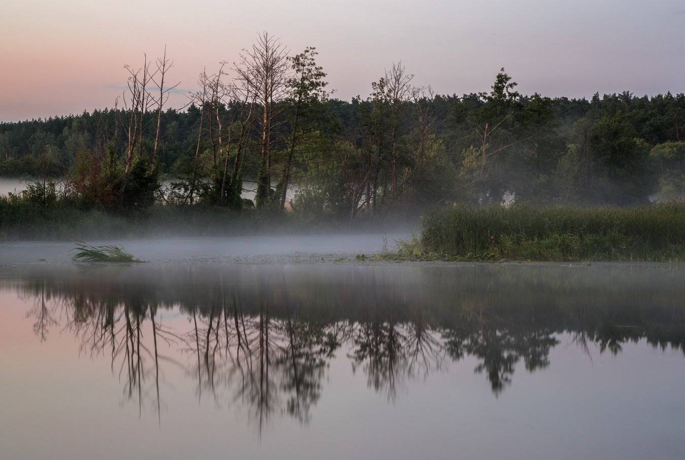 , Александр Бредихин