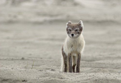 И кто следующий?