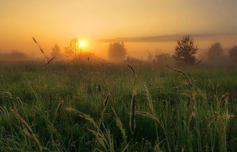 Майское утро фото превью