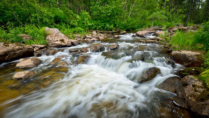 Речка и перекаты Золотанки. фото превью