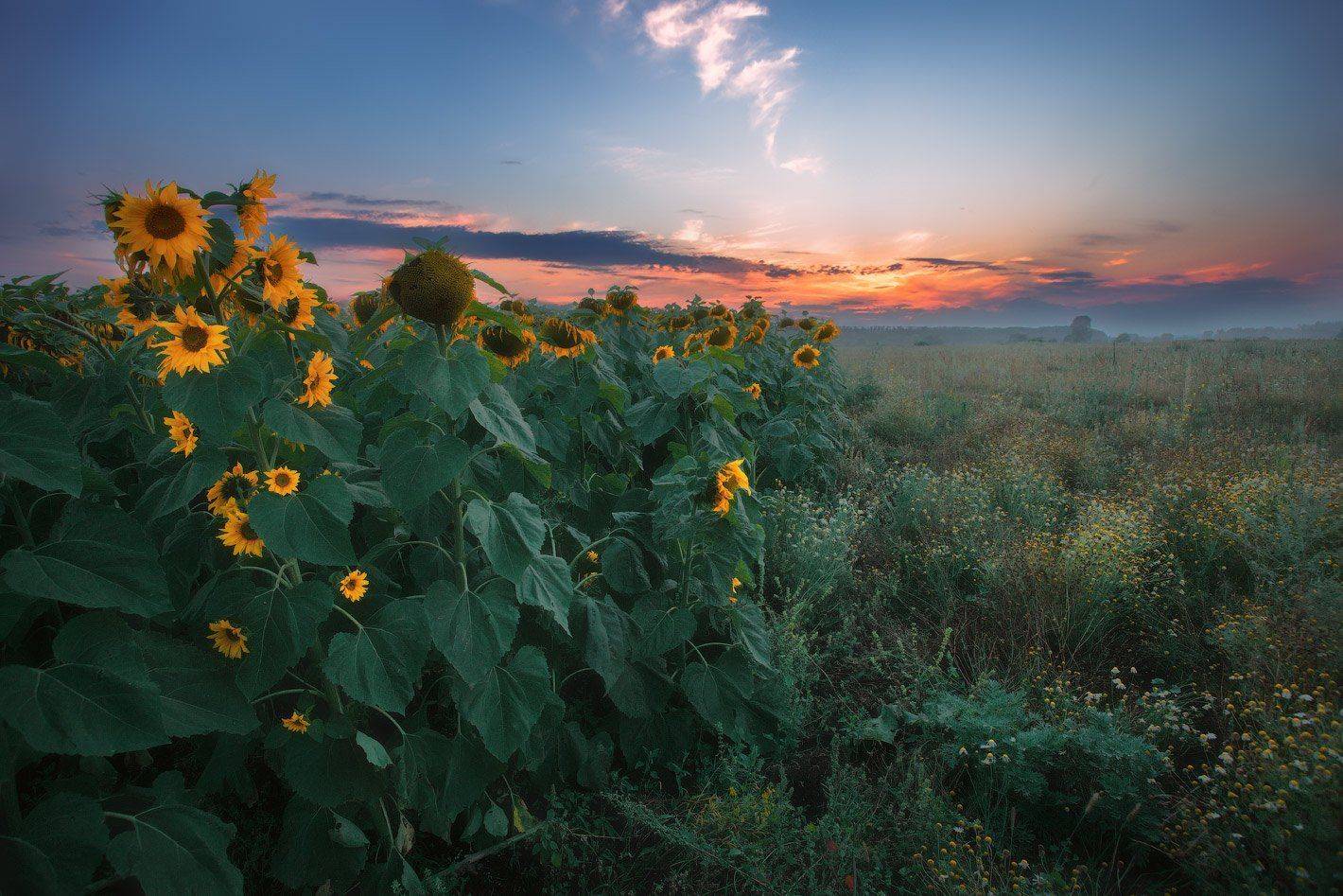 , Владимир Ляпин