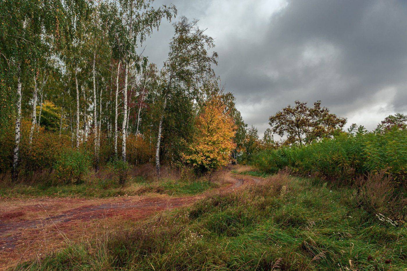 , Валерий Смирнов