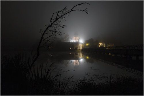 Про сухую веточку