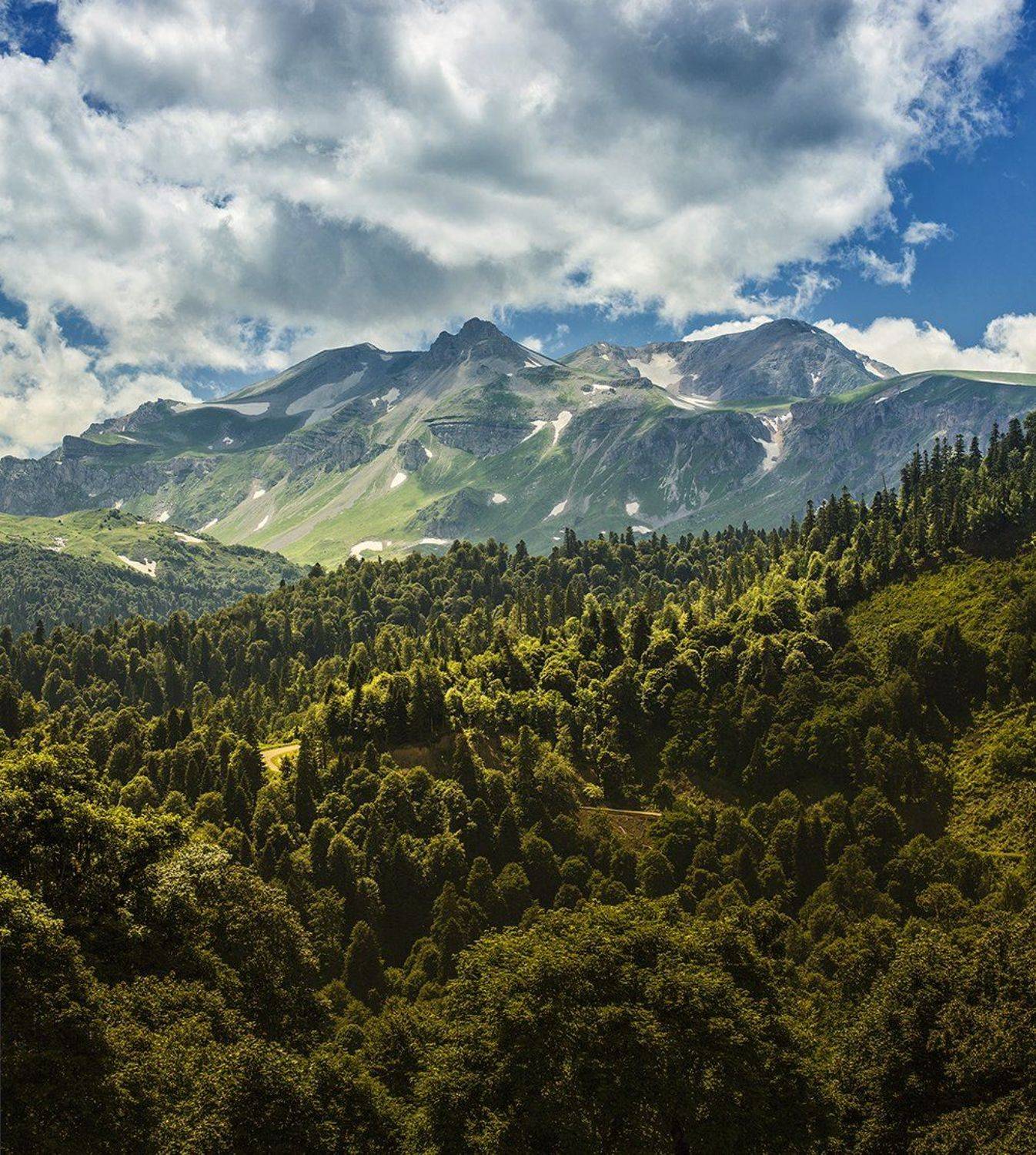 , Вадим Поддубный