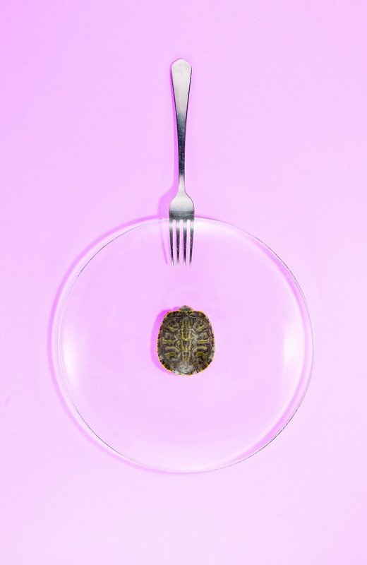 Food fetish фото превью