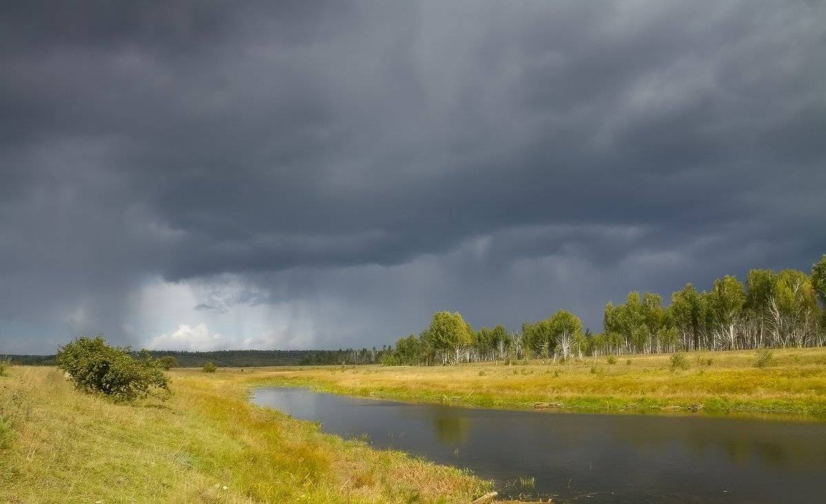 , Николай Морский