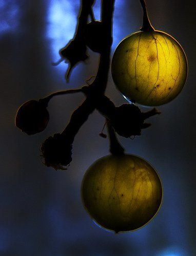 অশুভ প্রফুল্লতা আট