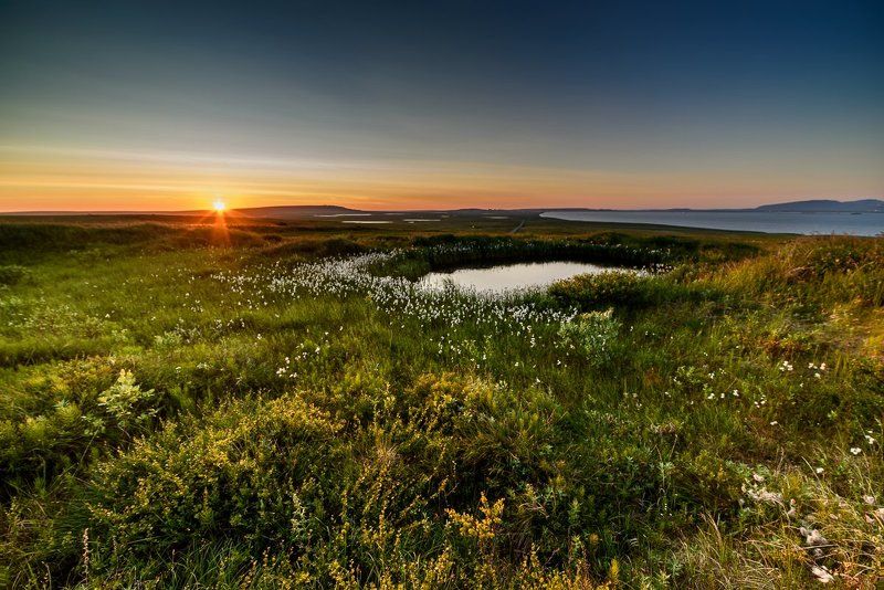 Чукотка. Тундра на закате фото превью