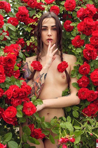 Афродизиак