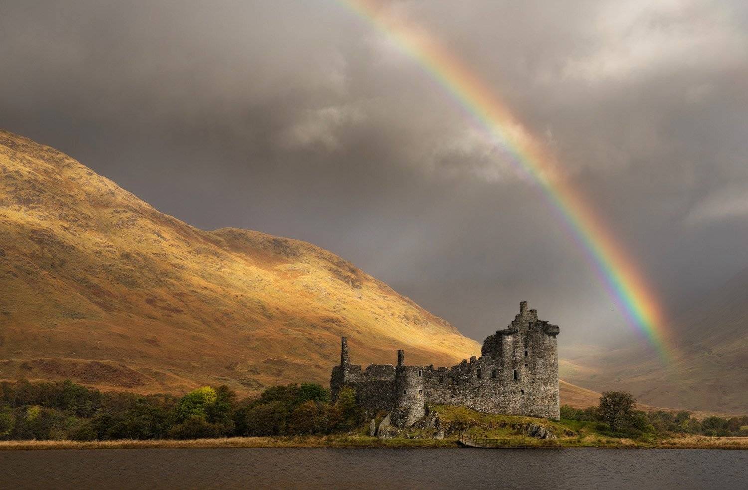 , Андрей Ведерников