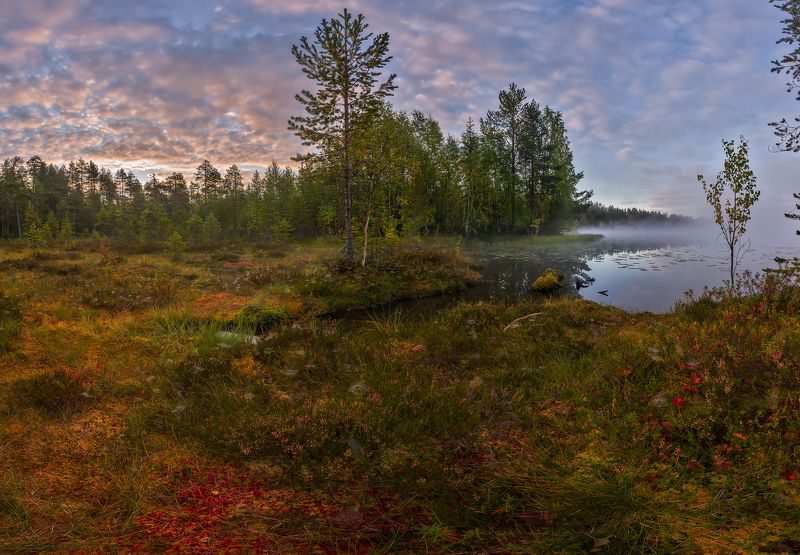 *** фото превью