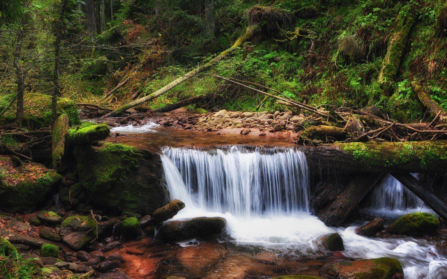 кавказ, кчр, Александр Круль