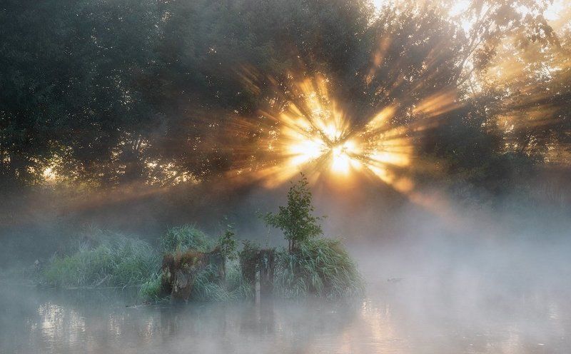 туман,река,вода,рассвет,лето,свет,солнце,лучи,клязьма,сони Последние деньки лета фото превью