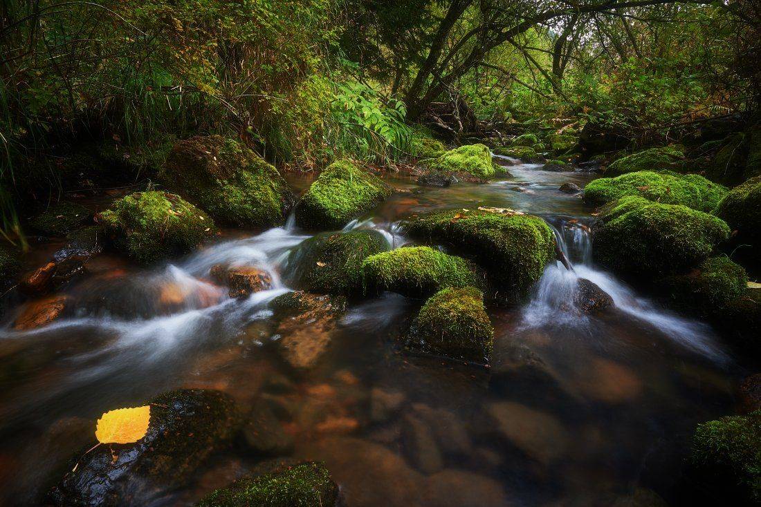 , Михаил Зверев