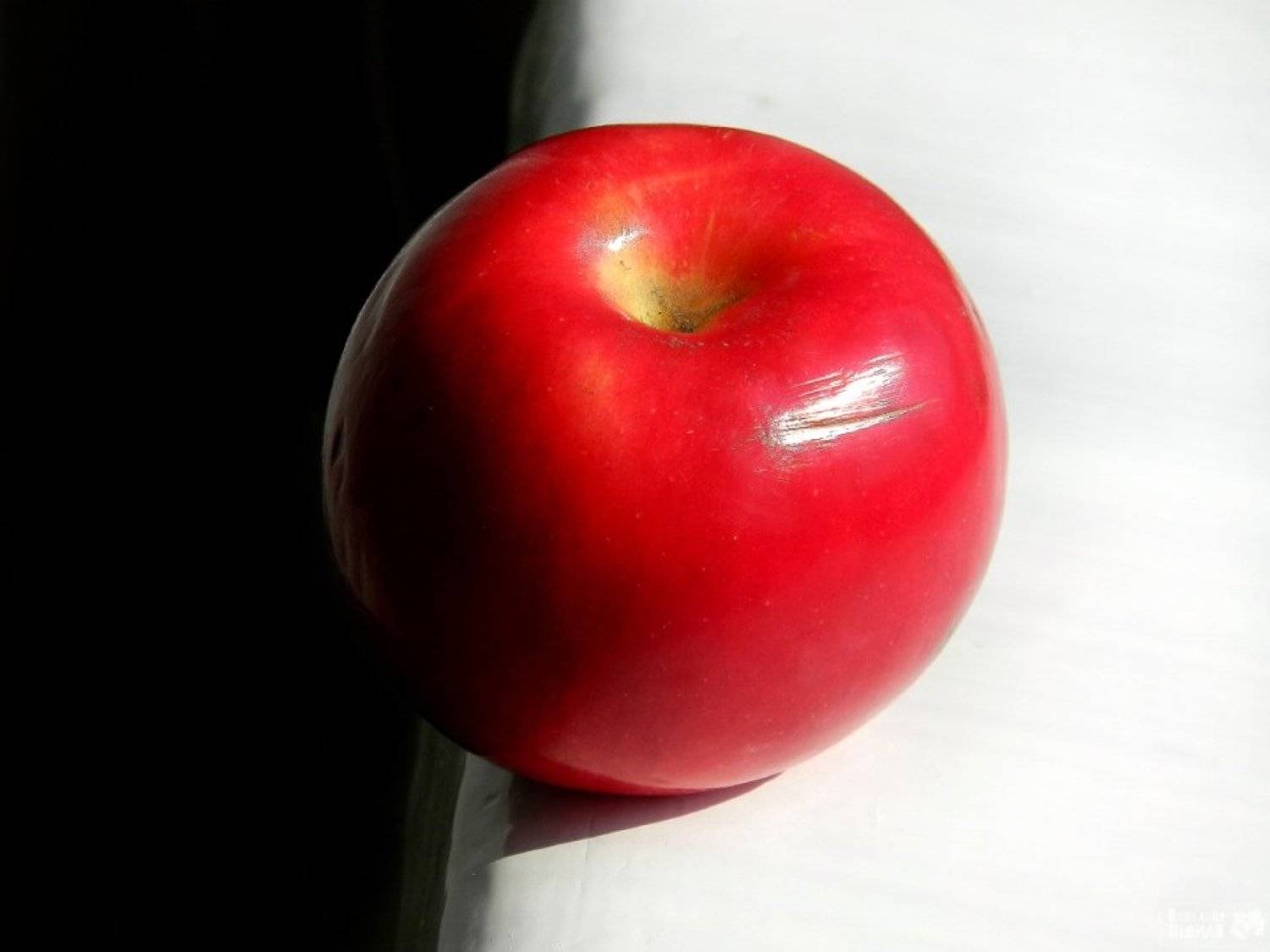 , Александр Индыло