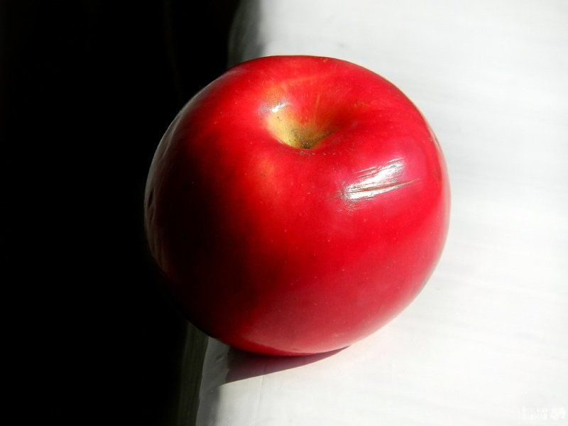 Классика трех цветов... фото превью